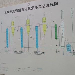 出售5噸全钛材三效強制循環蒸發(fā)器一套，圖紙配置清單齊全，歡迎定購